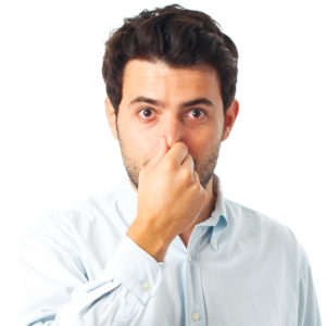 shutterstock_231013246