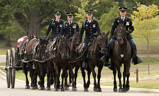 Our World War I ‘horse Heroes’ (updated) – The Moderate Voice