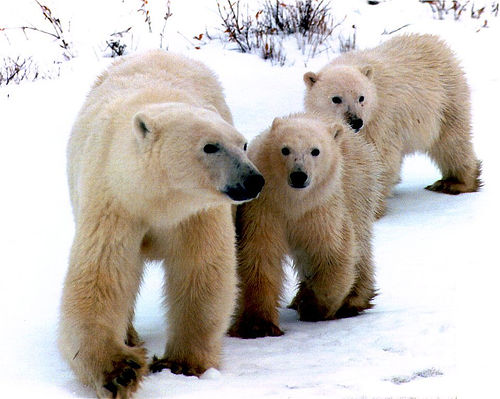 14067110_fc1c4ca0bd.jpg 14067110_fc1c4ca0bd.jpg