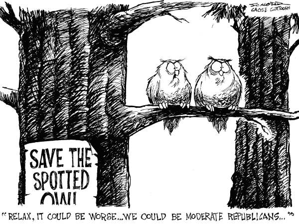 70713_600.jpg 70713_600.jpg