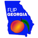 flip GA blue