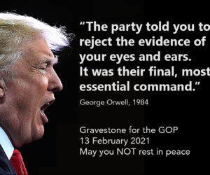 The impeachment vote was a travesty but it highlights Orwell’s prescience
