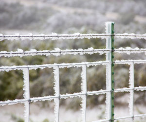 As Millions of Texans Suffer, Texas Republican Politicians Deflect, Pass the Buck, Lie…Bolt to Cancun (UPDATED)