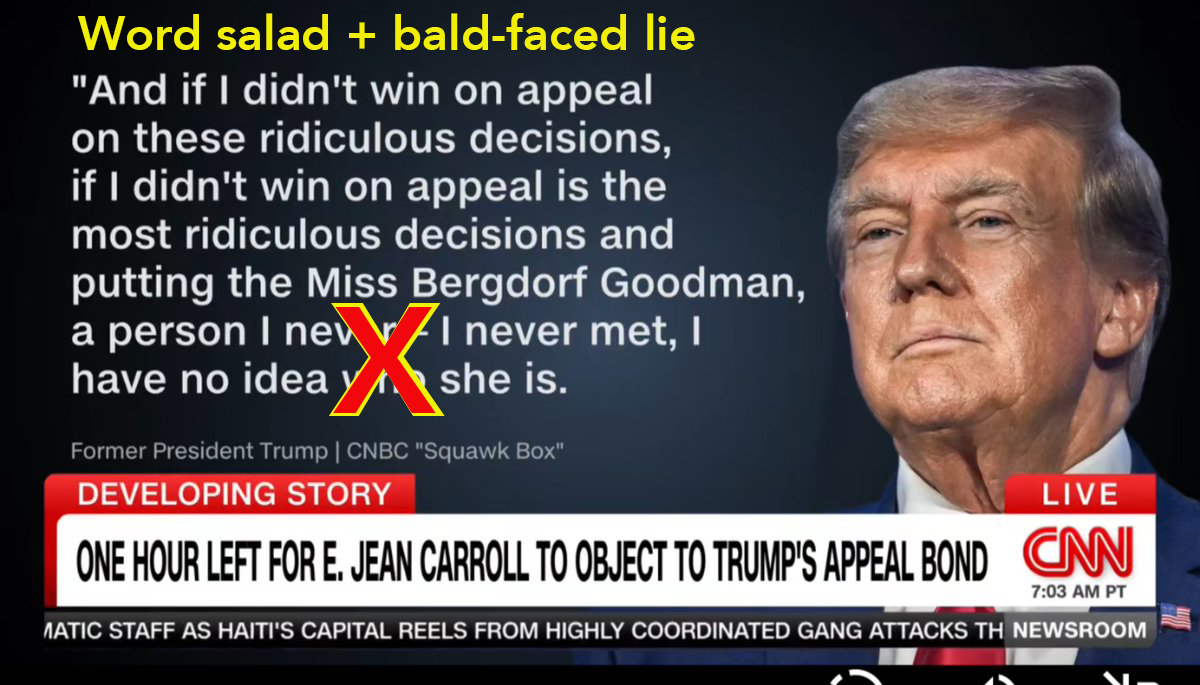 Trump lies about E. Jean Carroll