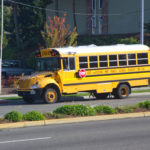 School bus