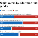 White vote by gender and education