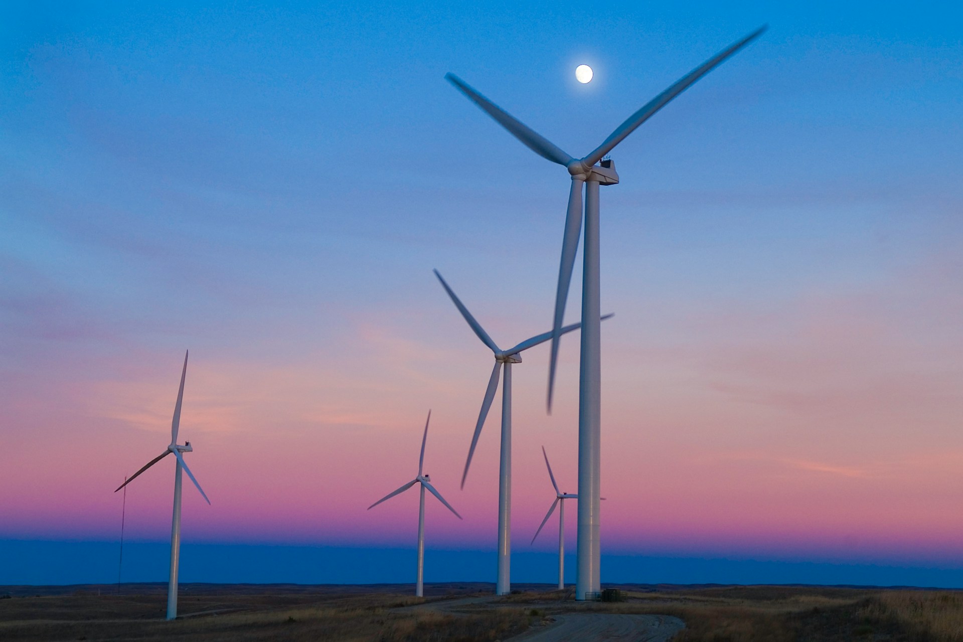 wind farm at sunset