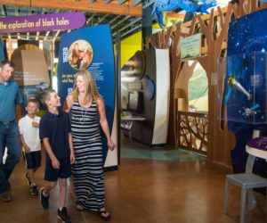 Trump administration seeks to starve libraries and museums of funding by shuttering this little-known agency