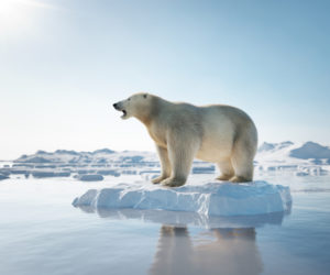 Trump and Climate Change