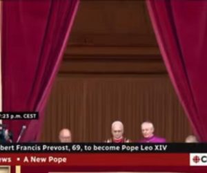 Reaction to Cardinal Robert Prevost Being Named Pope Leo XIV