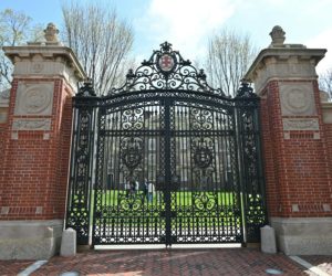 Exactly what is in the Ivy League deals with the Trump administration – and how they compare