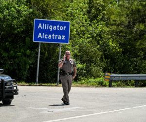 Understanding key terms swirling around Alligator Alcatraz and immigration enforcement in the US