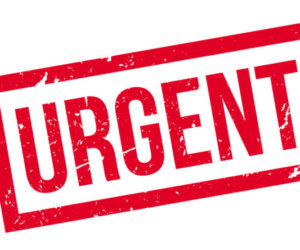 URGENT FUNDRAISER TO RAISE $700 (UPDATE 2)