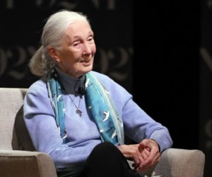 Jane Goodall, the gentle disrupter whose research on chimpanzees redefined what it meant to be human