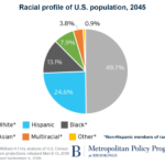 Racial profile for the US in 2045