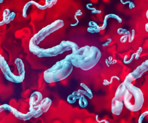 WHO rings alarm about children hit by deadly new Ebola virus strain in Central Africa