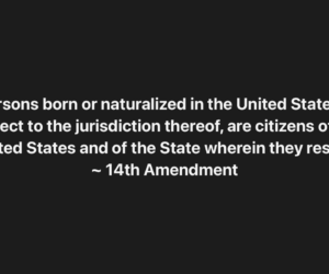 The vetting process can’t save us