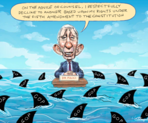 The historic precedent of Anthony Fauci taking the fifth