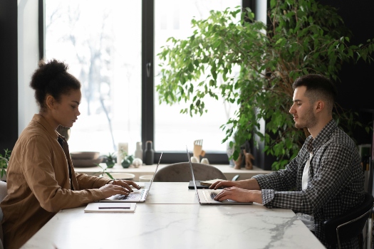 two remote workers on their laptops